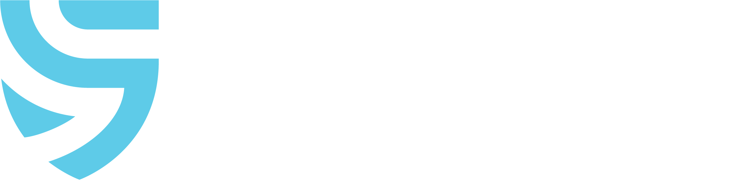 Shield_Consulting_Secondary_Logo